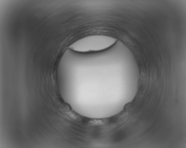 X0000058100381200509230800
