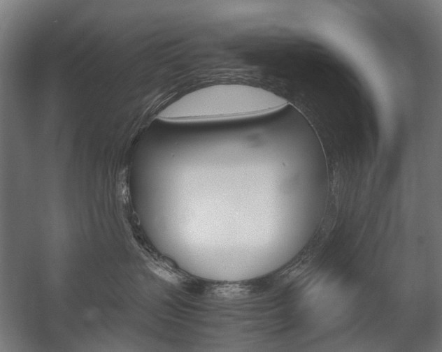 X0000058100383200509230800