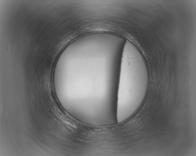 X0000058100386200509230800
