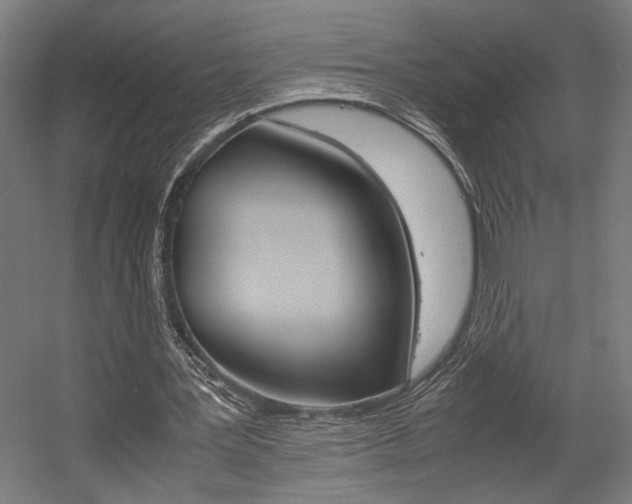 X0000058100387200509230759