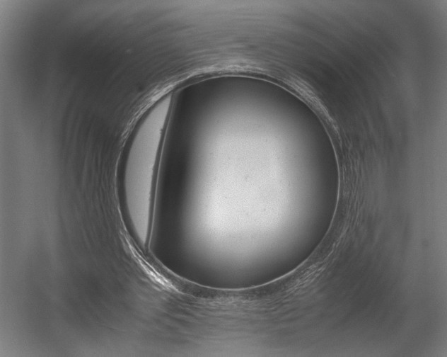 X0000058100389200509230759