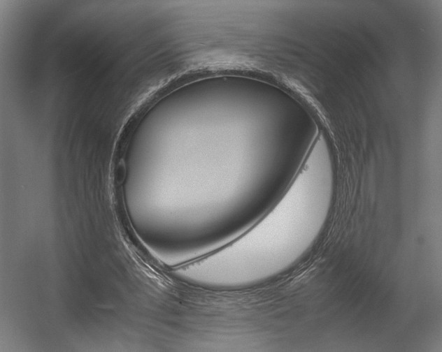 X0000058100391200509230759