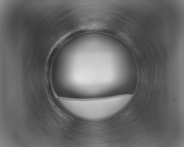 X0000058100392200509230759