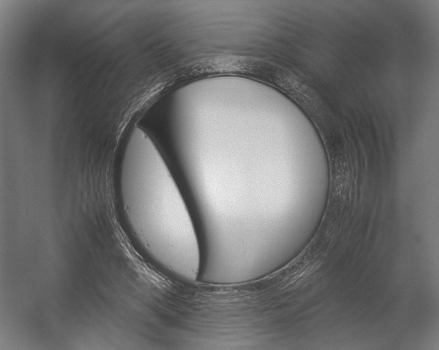 X0000058100394200509230759