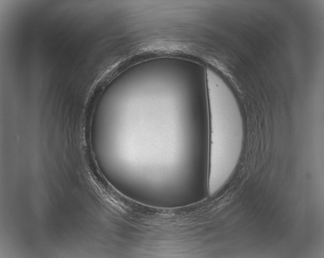 X0000058100399200509230759
