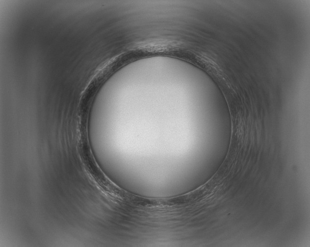 X0000058100400200509230759