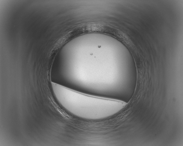 X0000058100401200509230759