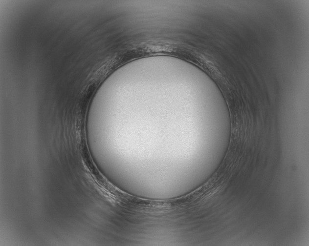 X0000058100402200509230759