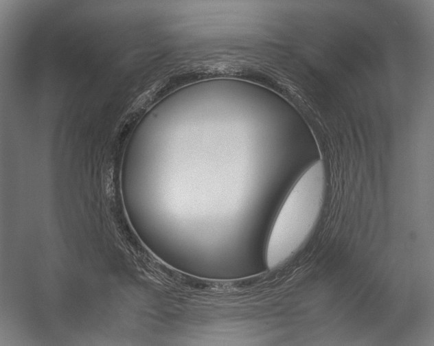 X0000058100403200509230759