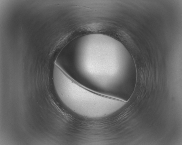 X0000058100404200509230759