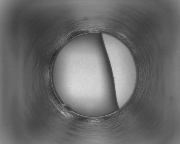X0000058100405200509230759