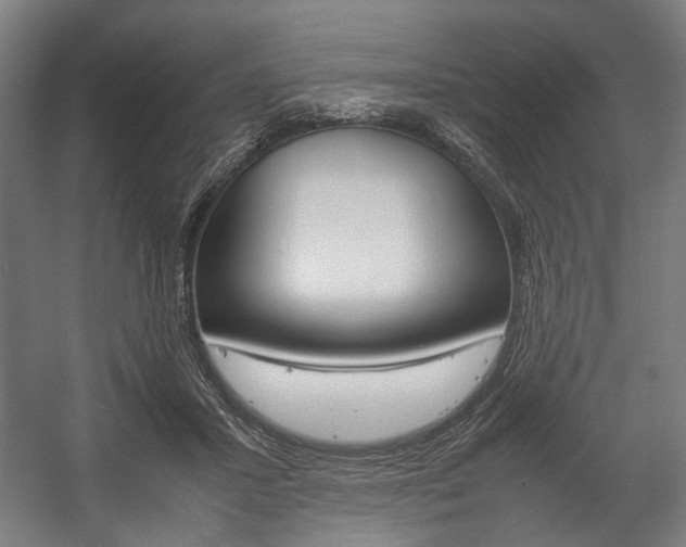 X0000058100407200509230759