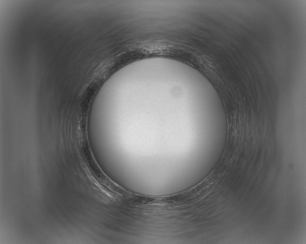 X0000058100408200509230759