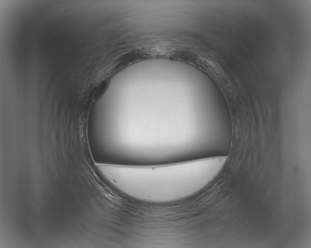 X0000058100409200509230759