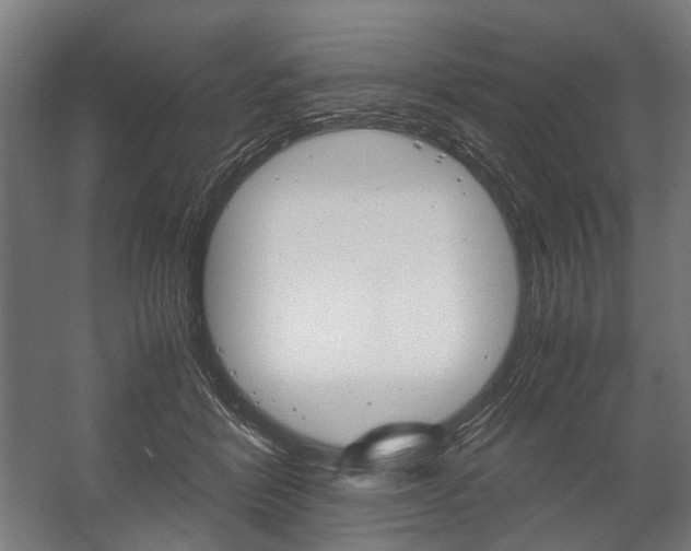 X0000058100412200509230759