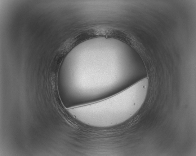 X0000058100413200509230759