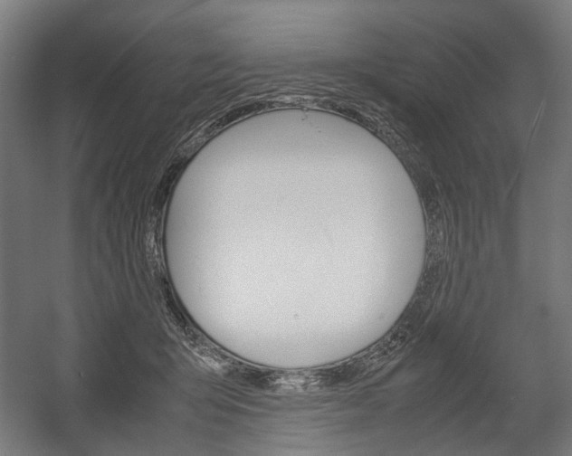 X0000058100415200509230759