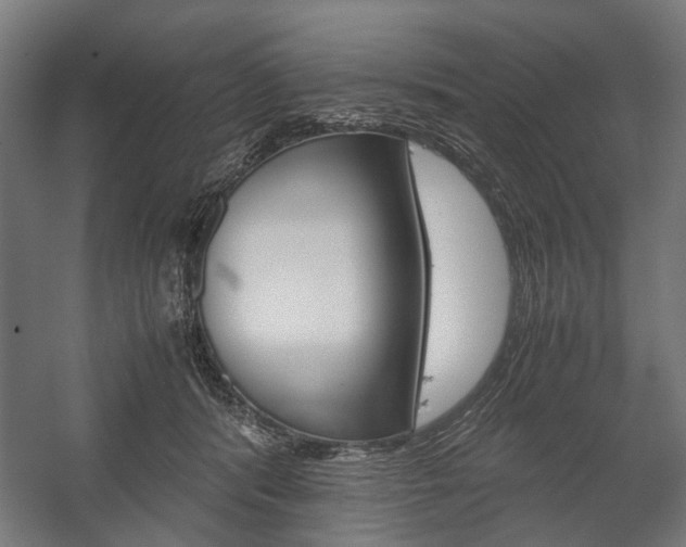 X0000058100416200509230759