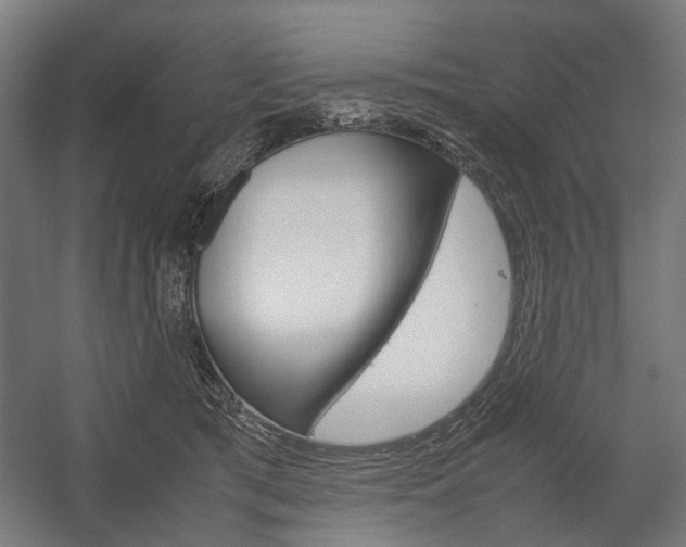 X0000058100417200509230759