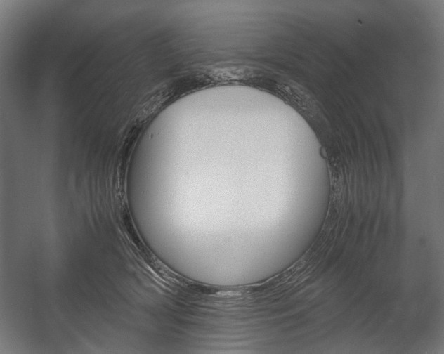 X0000058100418200509230759