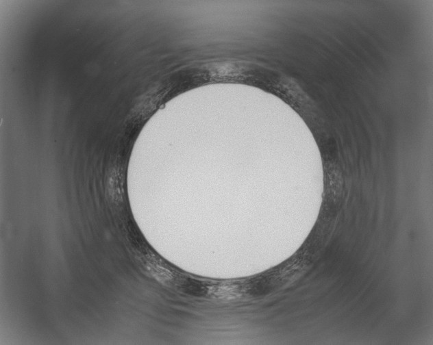 X0000058100419200509230759