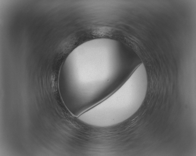X0000058100420200509230759