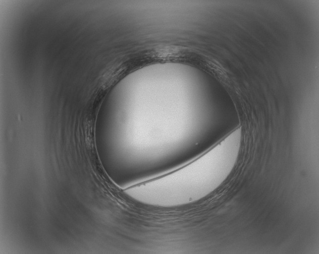 X0000058100421200509230759