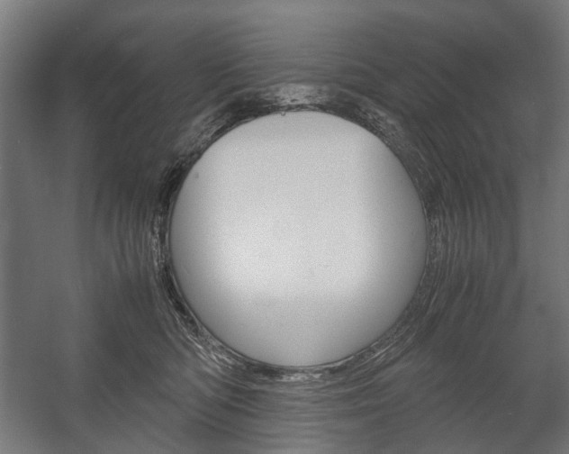 X0000058100422200509230759