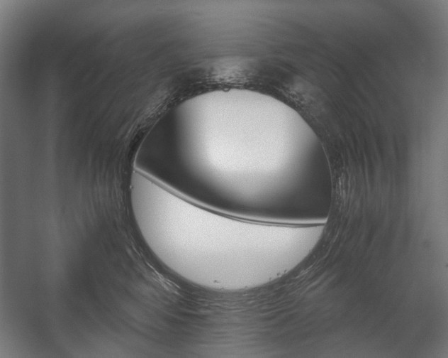 X0000058100424200509230759