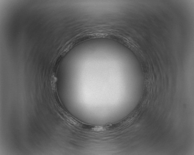 X0000058100425200509230759