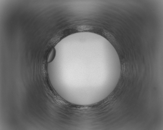 X0000058100426200509230759