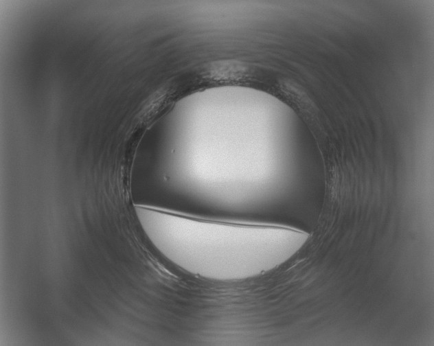 X0000058100428200509230759