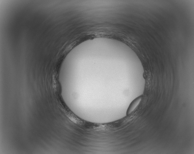 X0000058100430200509230759