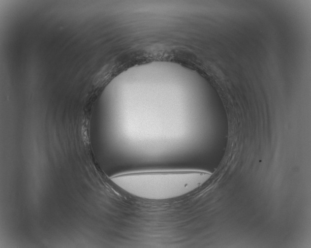 X0000058100432200509230759