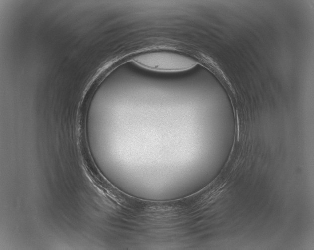 X0000058100435200509230758