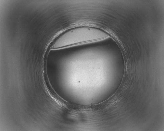 X0000058100438200509230758