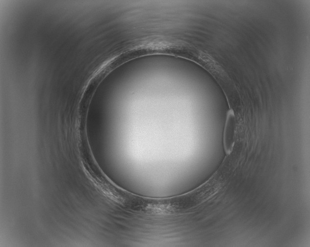 X0000058100440200509230758