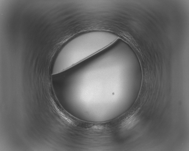 X0000058100441200509230758
