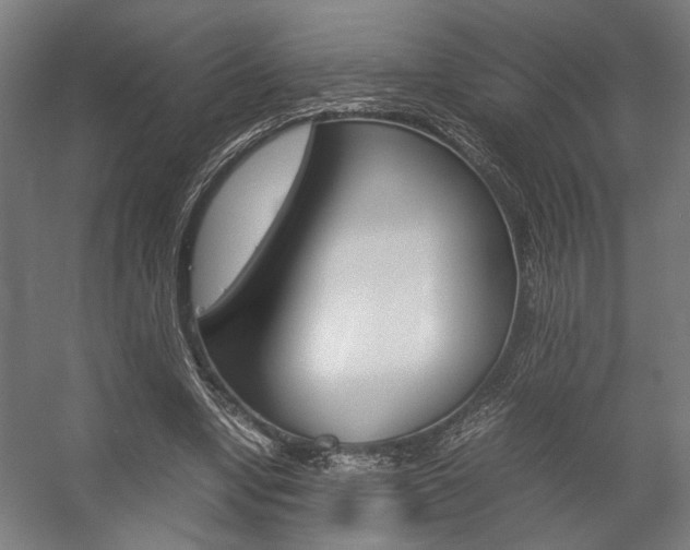 X0000058100442200509230758