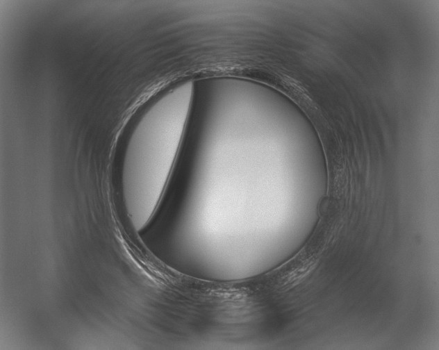 X0000058100443200509230758