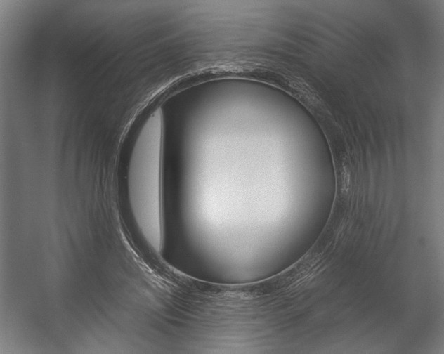 X0000058100444200509230758