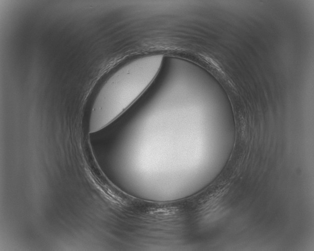 X0000058100447200509230758