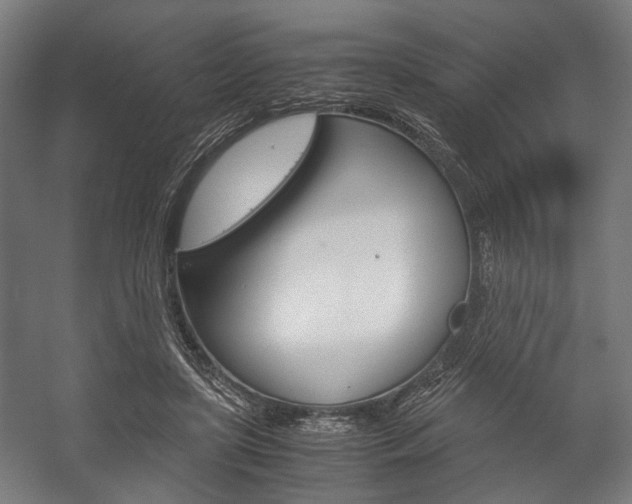 X0000058100451200509230758