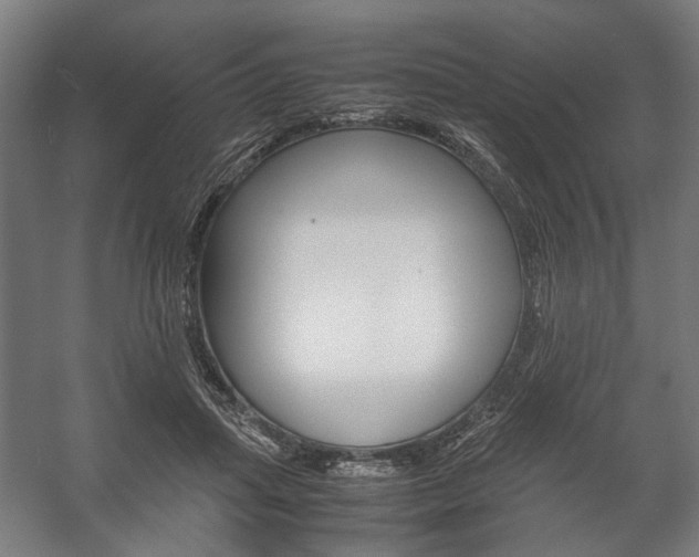 X0000058100455200509230758