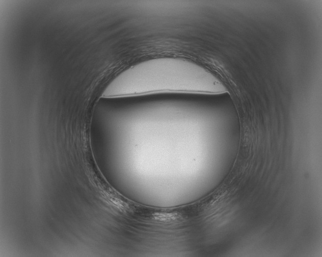 X0000058100457200509230758