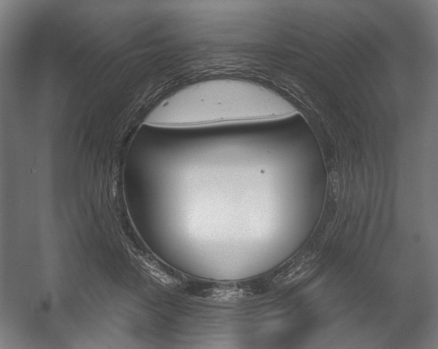 X0000058100458200509230758