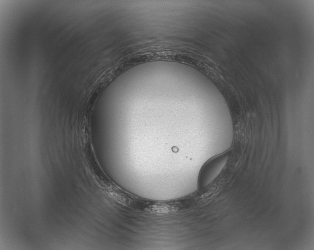X0000058100464200509230758