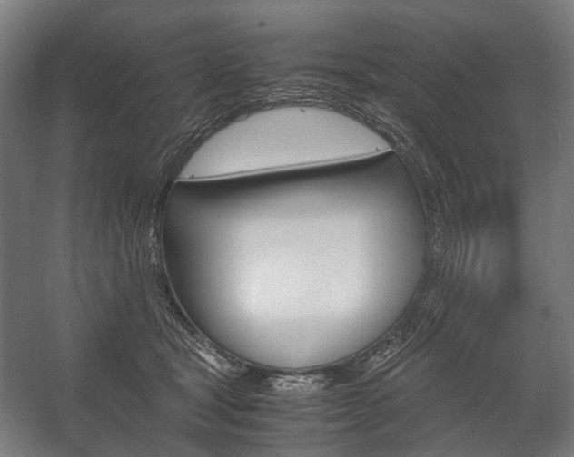 X0000058100465200509230758