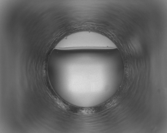 X0000058100466200509230758