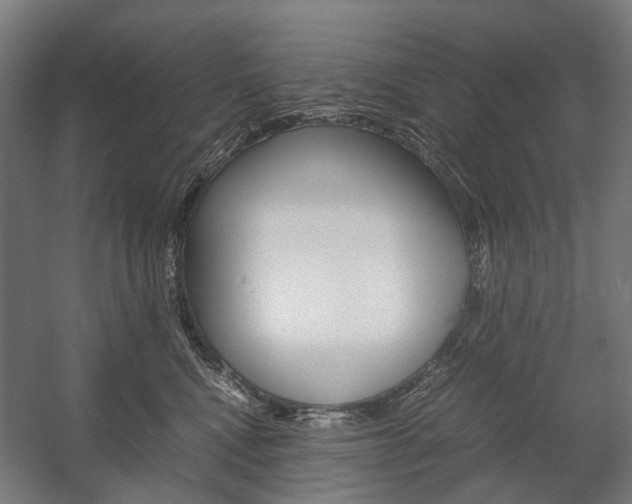 X0000058100472200509230759